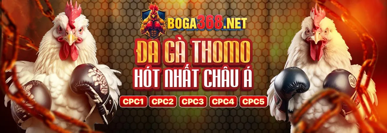 Sảnh Đá Gà Trực Tuyến nohu cash
