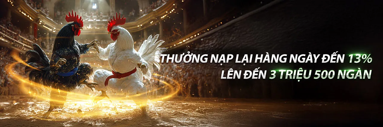 Tin tức Top888 mới nhất 2026