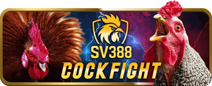 Giao diện nền tảng cá cược thể thao Top888 thân thiện và chuyên nghiệp