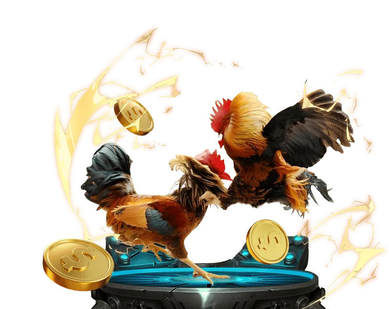 Các chương trình Khuyến mãi và Ưu đãi đặc biệt tại nohu cash